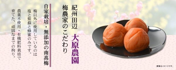 IB썂A~